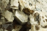 Mica crystals to ca 9 mm with smoky quartz, albite and perthite on 7 cm matrix, Diamond Rocks, Mourne Mountains.