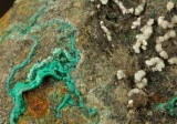 Brochantite and aragonite, detail of a 6 cm specimen. Tynebottom Mine, Garrigill, Cumbria.