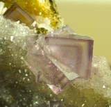 Fluorite colour-zoned interpenetrant twins to 2 cm on 10 cm drusy quartz matrix, Cambokeels Mine.