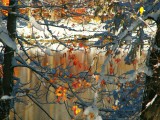 Late Fall Snow Storm 2011
