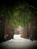 Country Walking Trail in Sussex County