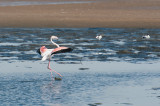 Walvis Bay