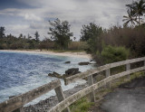 View of Long bay