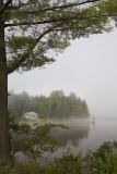 early morning fog on Halls lake