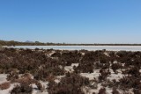 Salt lake ( North of Stirling Range NP )