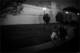 Girls Night Out