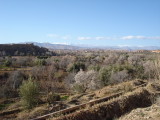 View of the Desert - Landscape