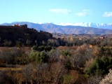 View of the Desert - Landscape