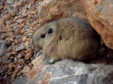 DSC01678.JPG