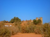 View of the Desert - Landscape