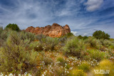 Kolob Terrace Road