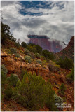 ZION NP