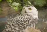 Visite du zoo de Lille, Nord-Pas-De-Calais