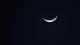 Moon Over Miami - Actually Dania Beach, FL