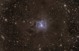 Iris Nebula