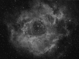 Rosette Nebula (NGC2244) Hydrogen Alpha
