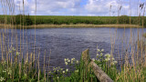 Lauwersoog - Waddendijk