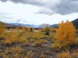 Dalton Highway