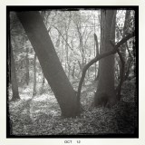 fontenelle forest