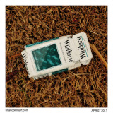 Wildhorse cigarettes