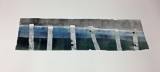 IMG_0635.JPGmonoprint