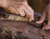 Rolling cigars _MG_3645.jpg