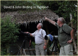 Birding in Thailand