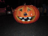 DSCN7453.JPG