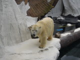 DSCN7796.JPG