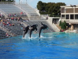 DSCN7838.JPG