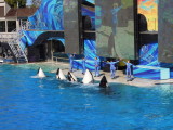 DSCN7855.JPG