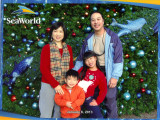 seaworld_hi_01_2013.jpg