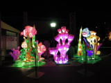 DSCN6874.JPG