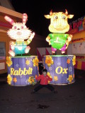 DSCN6916.JPG