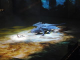DSCN7127.JPG