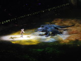 DSCN7134.JPG