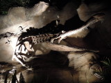DSCN7250.JPG