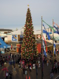 DSCN6964.JPG