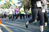 ds20121122-0224.jpg