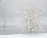 ds20121225-0017w.jpg