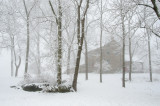 12-25-2012 - A White Christmas!<br><font size=3>ds20121225-0048w.jpg</font>