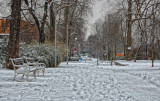 snowy benches