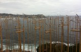 Cool installation art at Marks Park Bondi Beach
