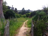 Tree Crop Farm near Akaroa