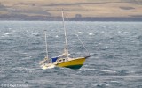 Birita TN 961