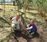 Planting a tree in Peebos Memory - Delta Park Jhb -Sep 2010 -Job complete