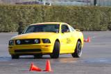 IMG_3496.jpg