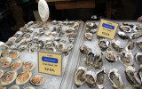Ferry Building Marketplace oysters and clams
