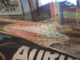 Bodie-museum display-a really cool parasol made with US flag designs