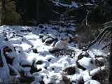 South Lake Tahoe-pretty snow covered rocks on Rubicon Trail